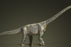 Mongolija je pronašla najveći dinosaurus Mongolija je pronašla najveći dinosaurus